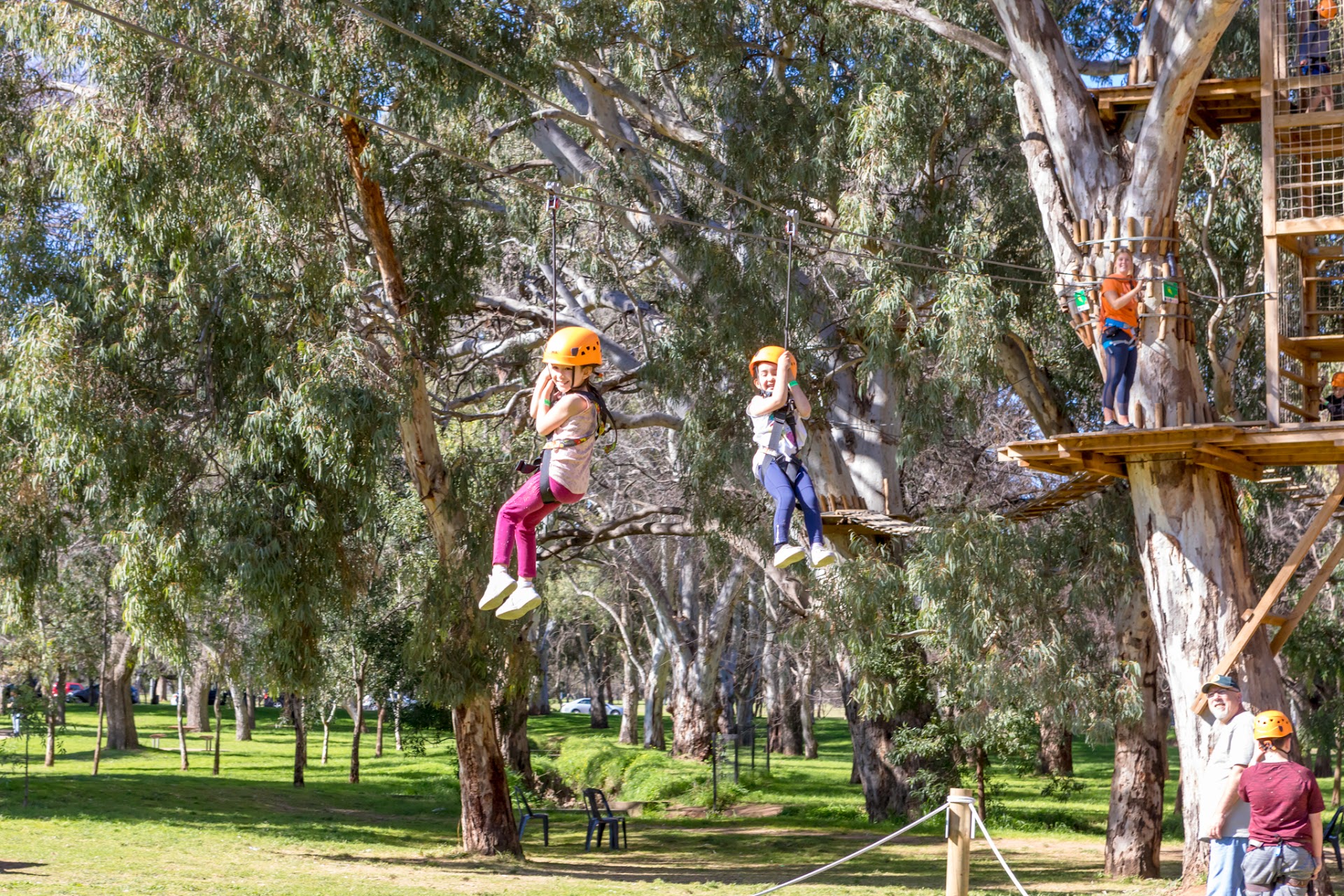 TreeClimb Adelaide photo 2