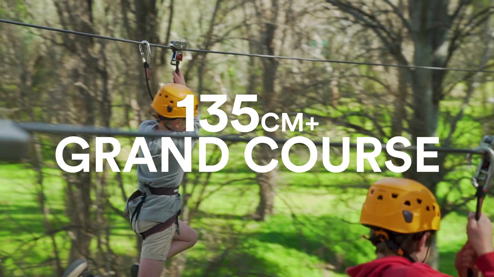 TreeClimb Adelaide photo 3