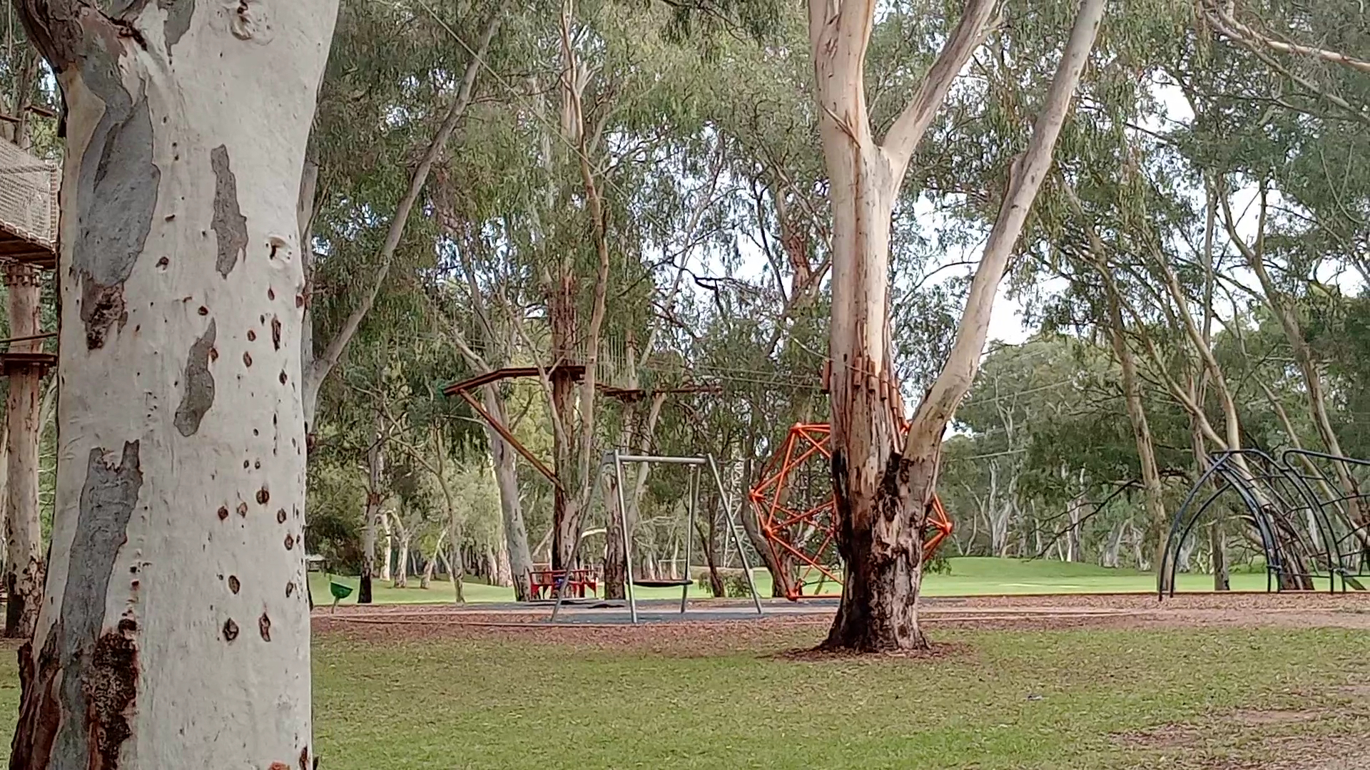 TreeClimb Salisbury photo 2