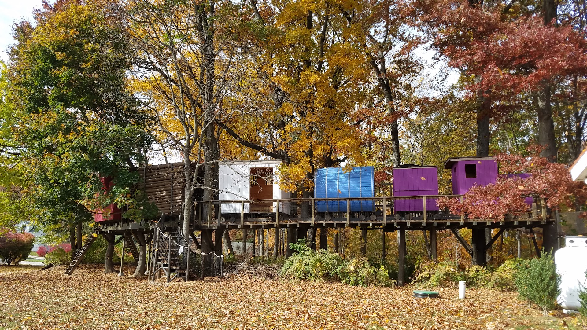 Treehouse World photo 2