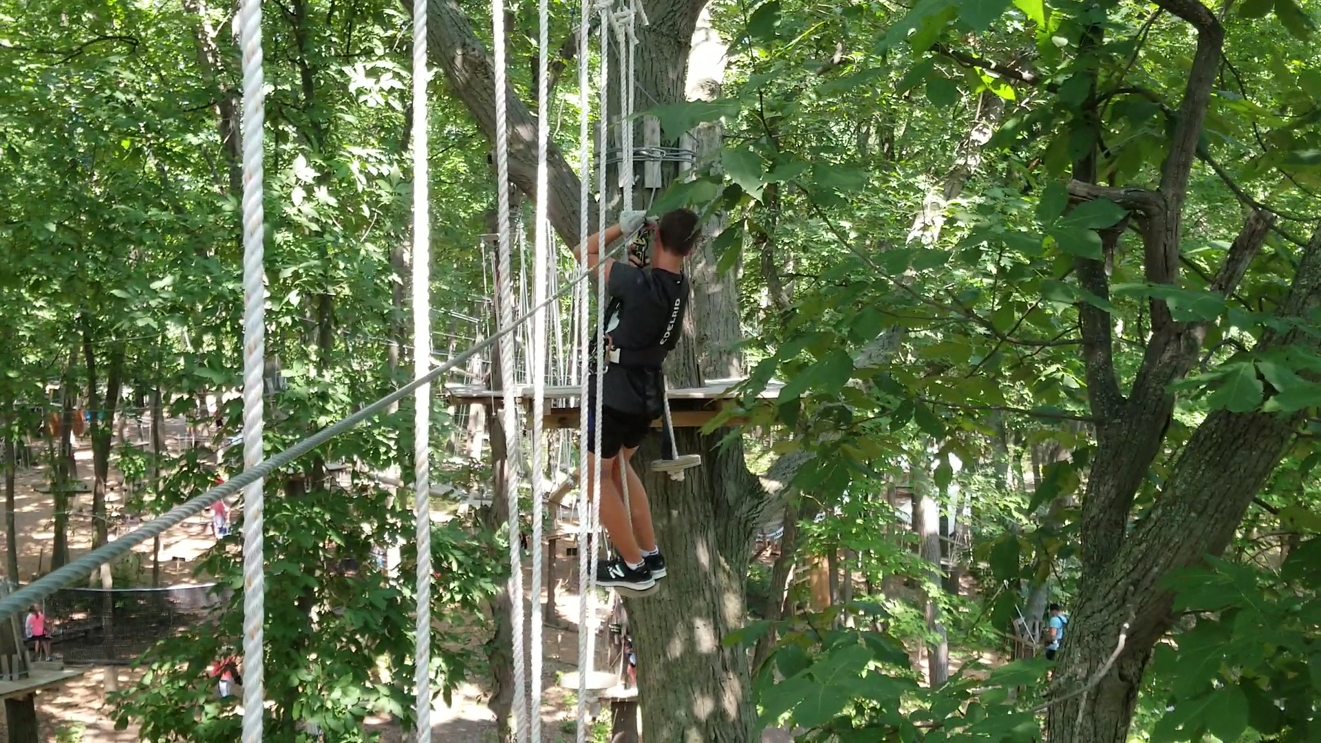 TreeRunner West Bloomfield Adventure Park, Putt Forest & Bounce Forest photo 2