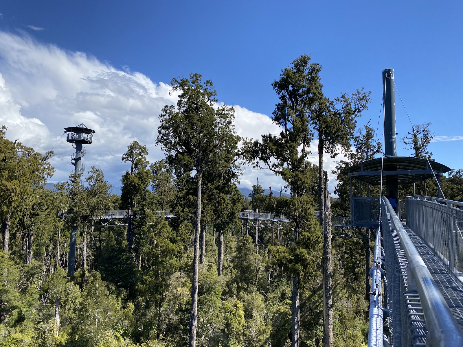 Treetop Walk & Zipline