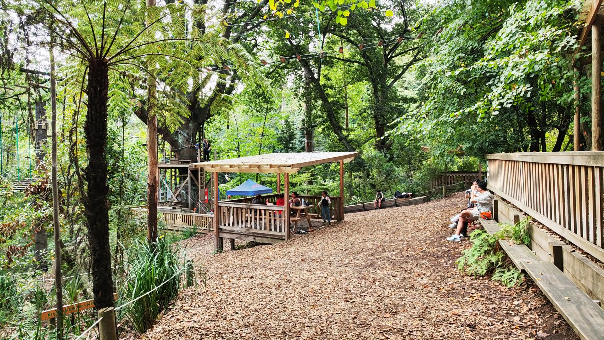 Treetops Adventure Belgrave photo 2