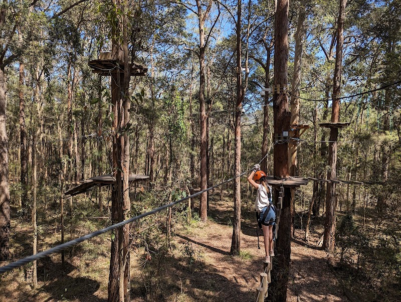 Treetops Adventure Central Coast photo 2