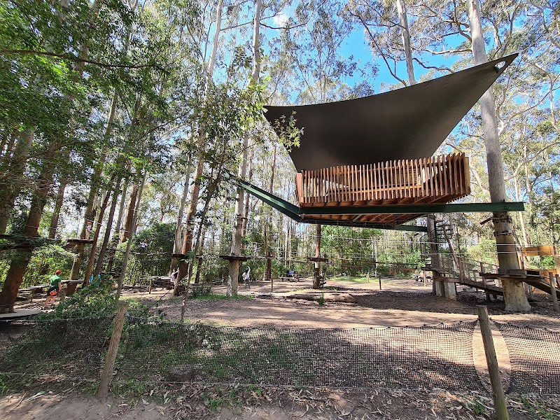 Treetops Adventure Central Coast photo 3