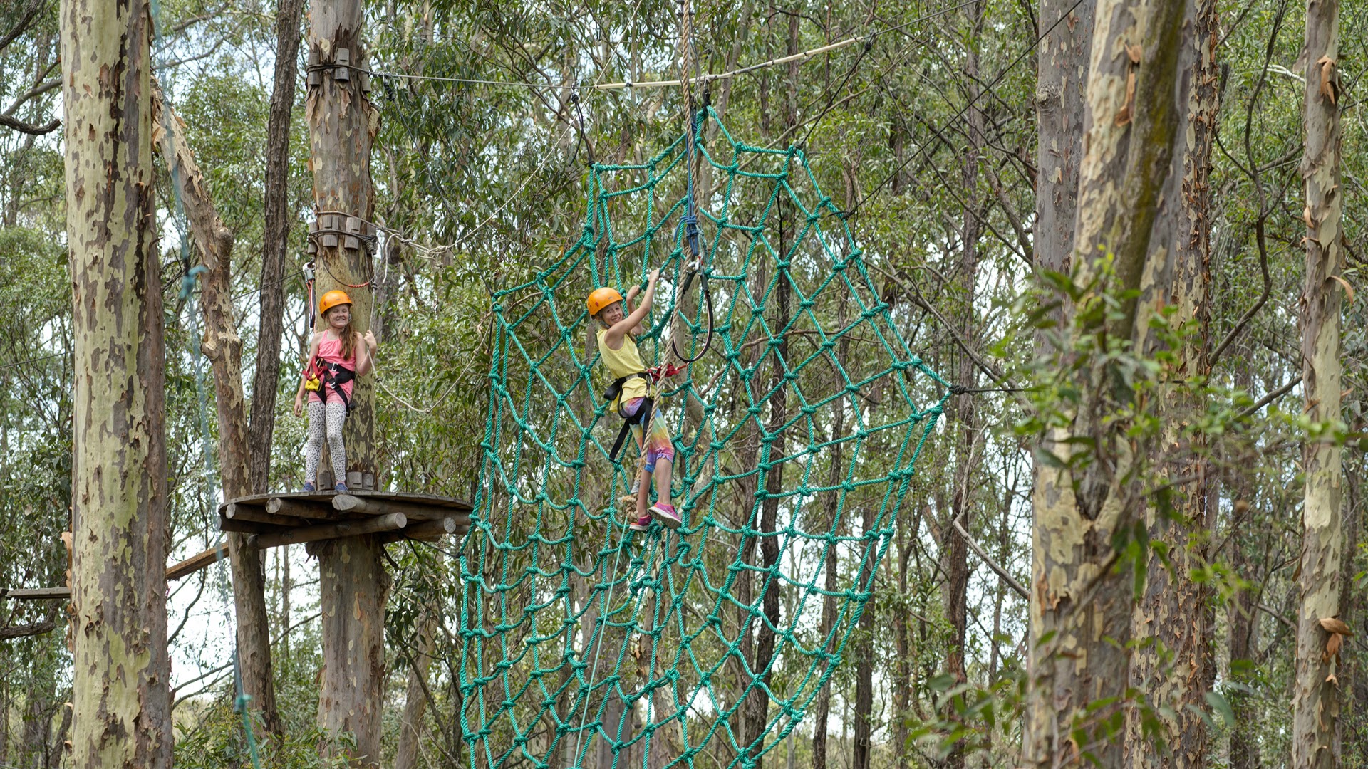 Treetops Adventure Central Coast