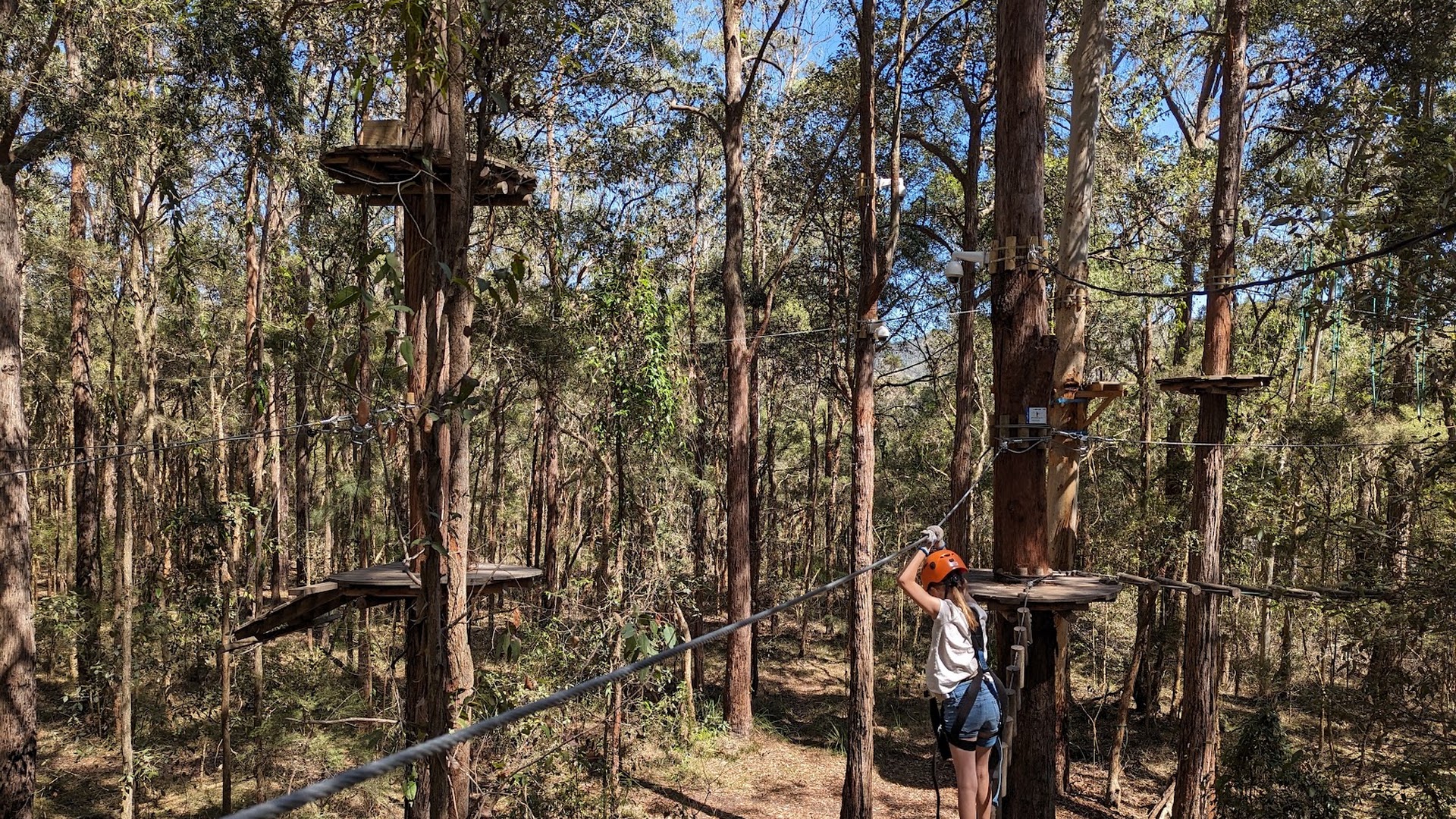 Treetops Adventure Central Coast photo 3