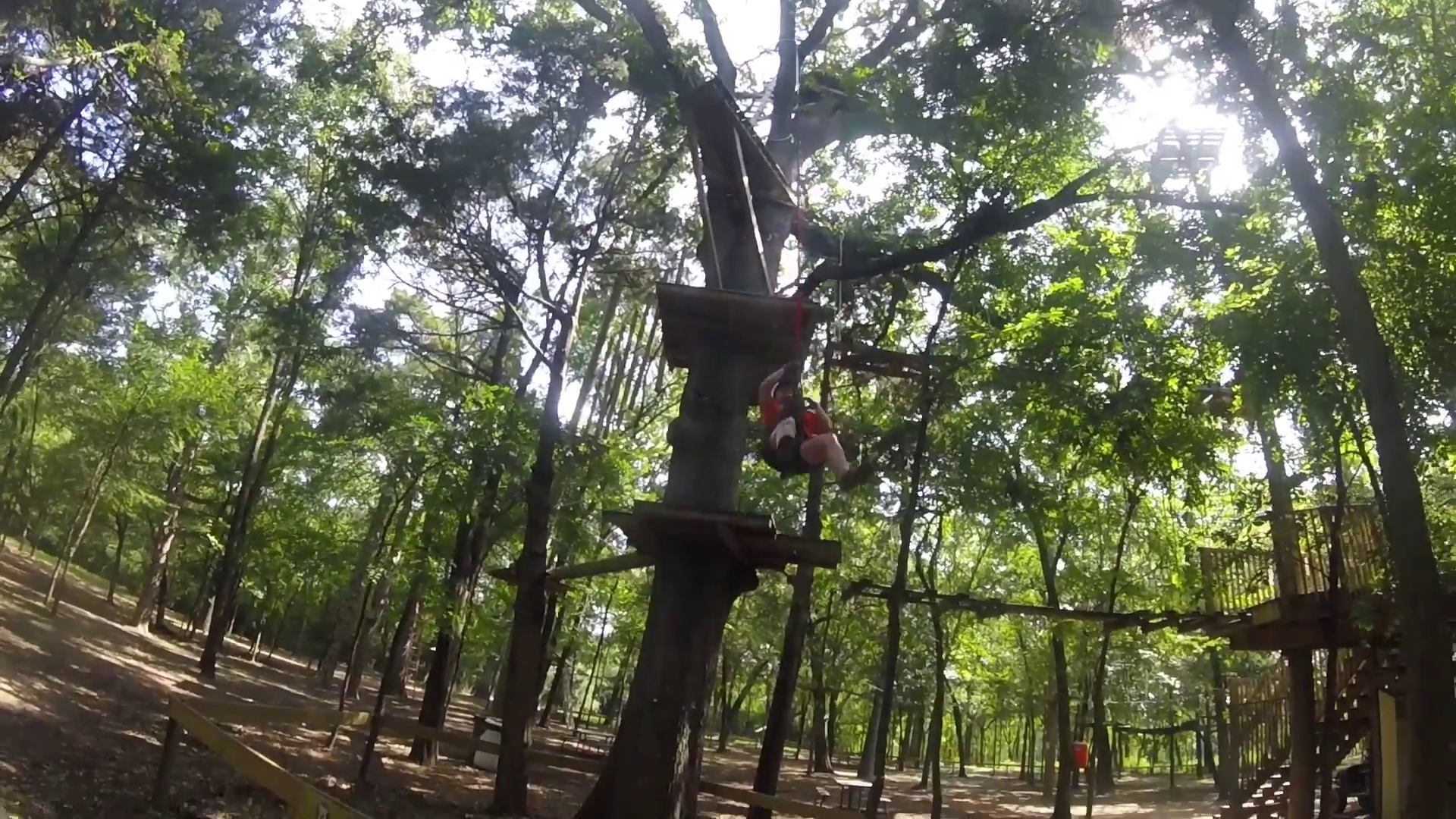 Trinity Forest Adventure Park photo 2
