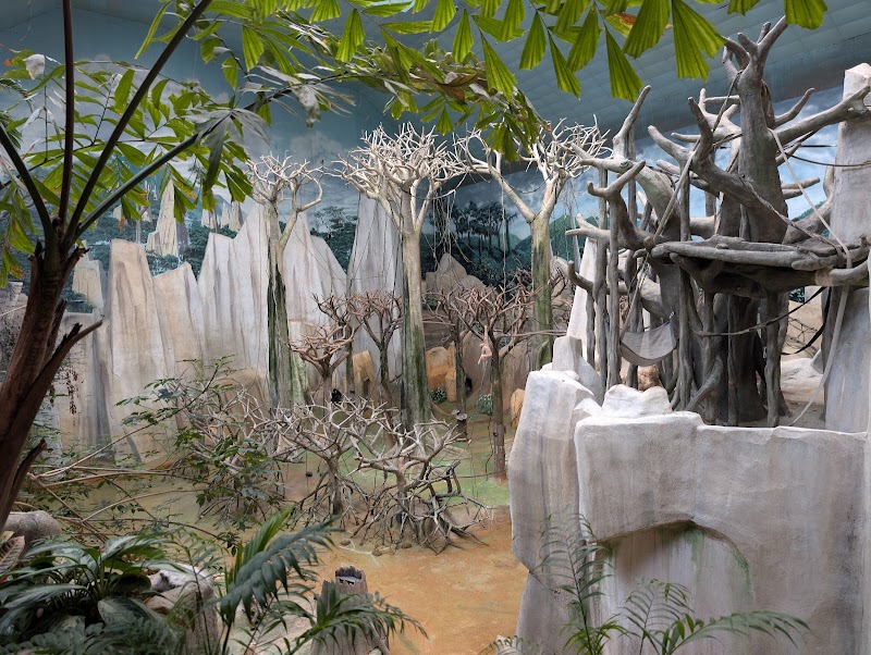 Tropic World photo 2