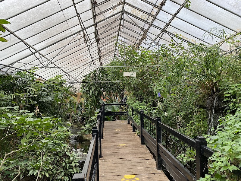 Tropical World photo 2