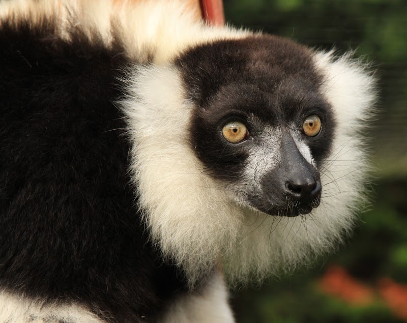 Photo of Tropiquaria Zoo in South West