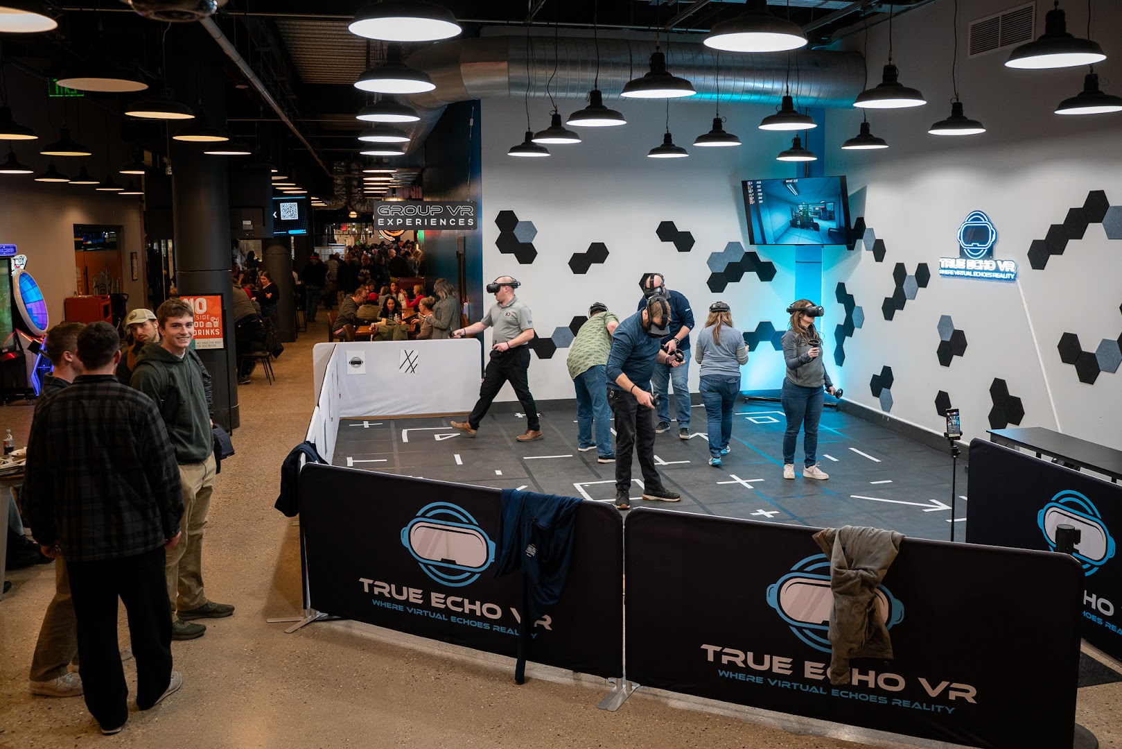 True Echo VR