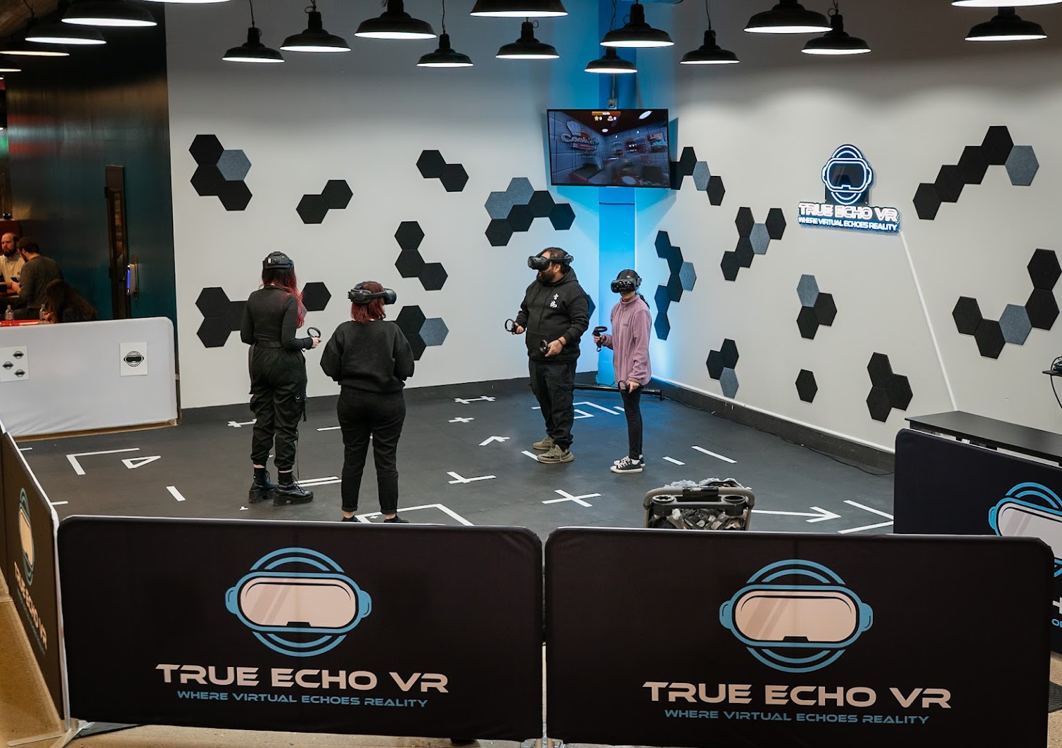 True Echo VR photo 3