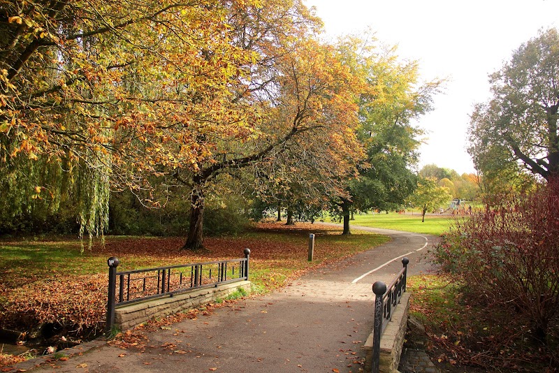 Tudor Grange Park