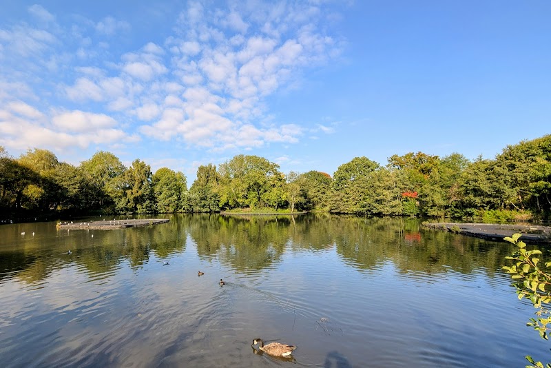 Tudor Grange Park photo 2