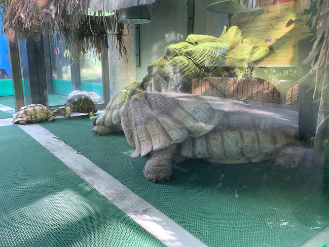 Tuen Mun Park Reptile House