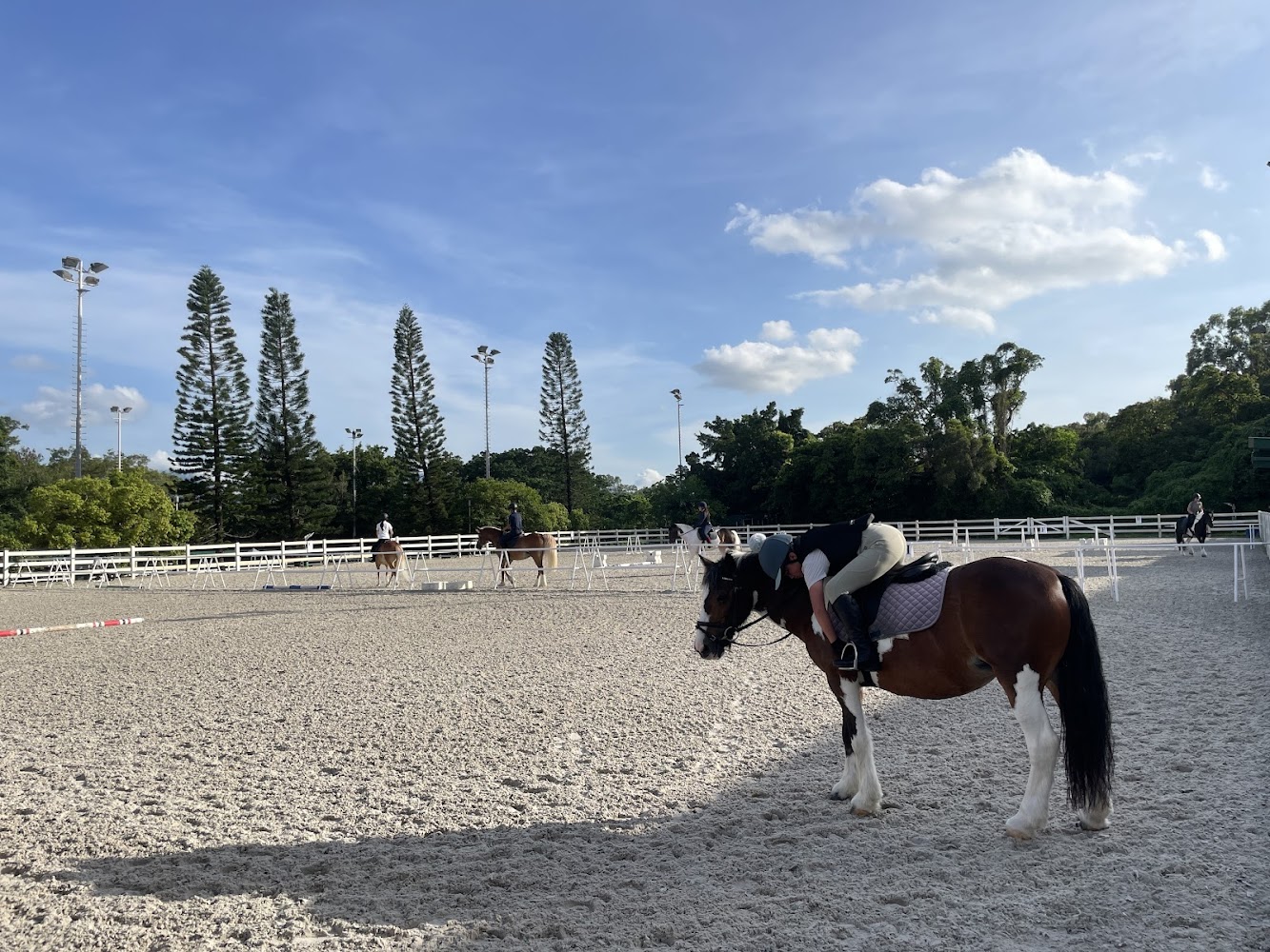 Tuen Mun Public Riding School photo 2