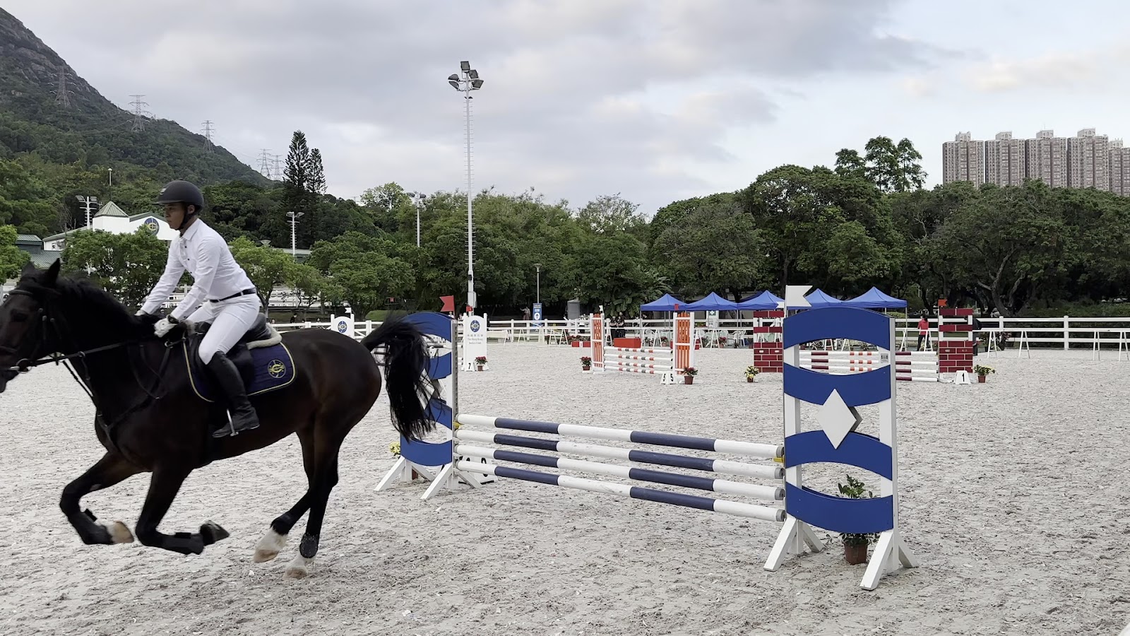 Tuen Mun Public Riding School photo 3