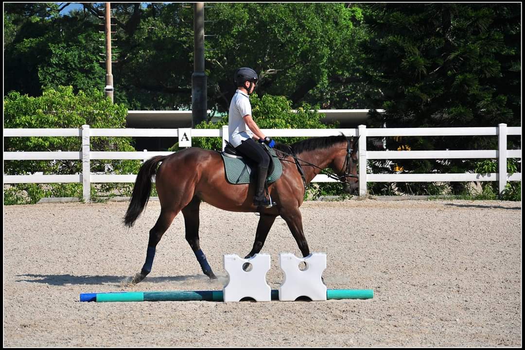Tuen Mun Public Riding School photo 4