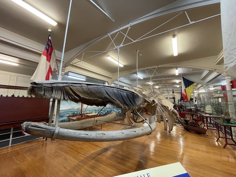 Tuhura Otago Museum photo 3