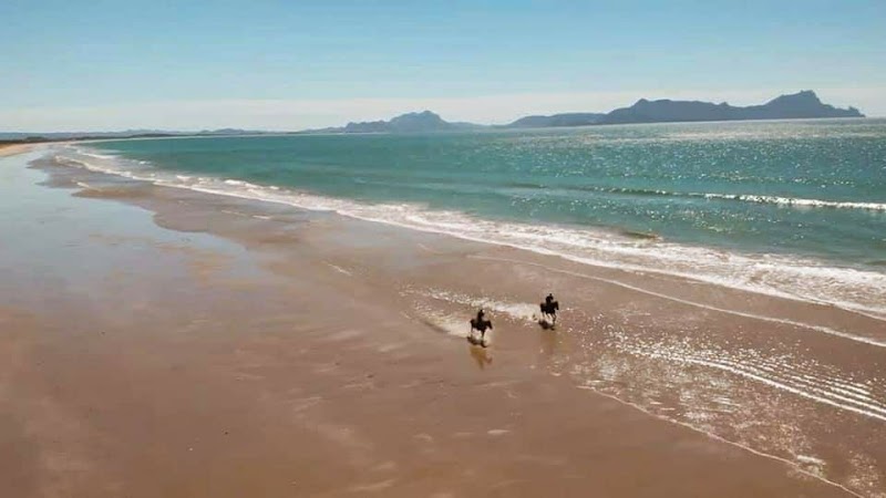 Tuidale Stables - Uretiti Beach horse treks