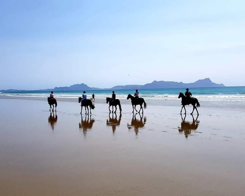 Tuidale Stables - Uretiti Beach horse treks photo 2