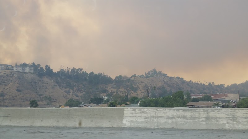 Tujunga Ponds Wildlife Sanctuary