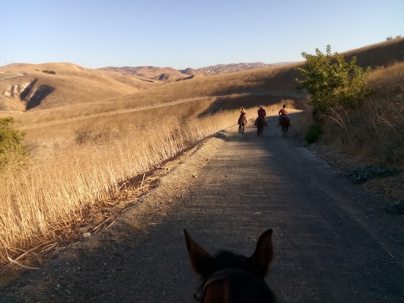 Twenty Nine Oaks Ranch photo 2