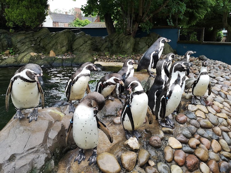 Twycross Zoo