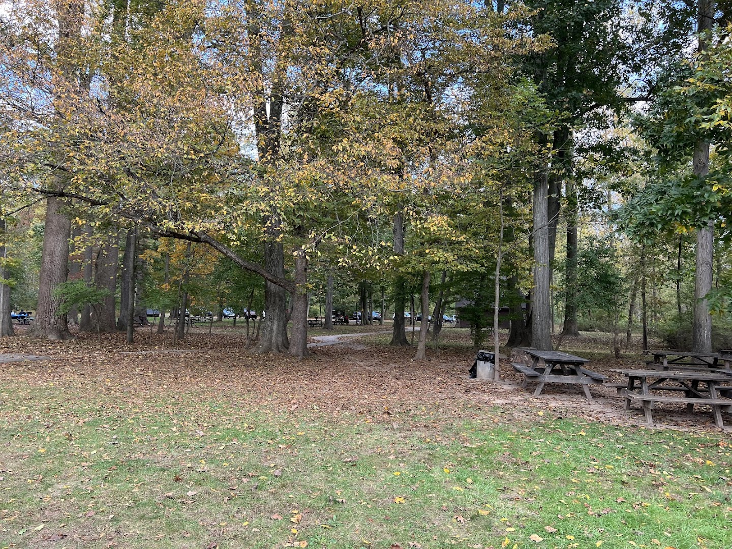 Tyler Park Playground photo 2