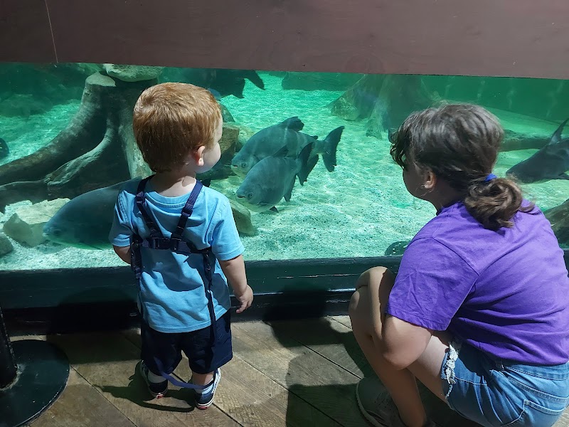 Tynemouth Aquarium photo 2