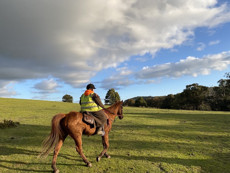 Uncle Nev's Trail Rides