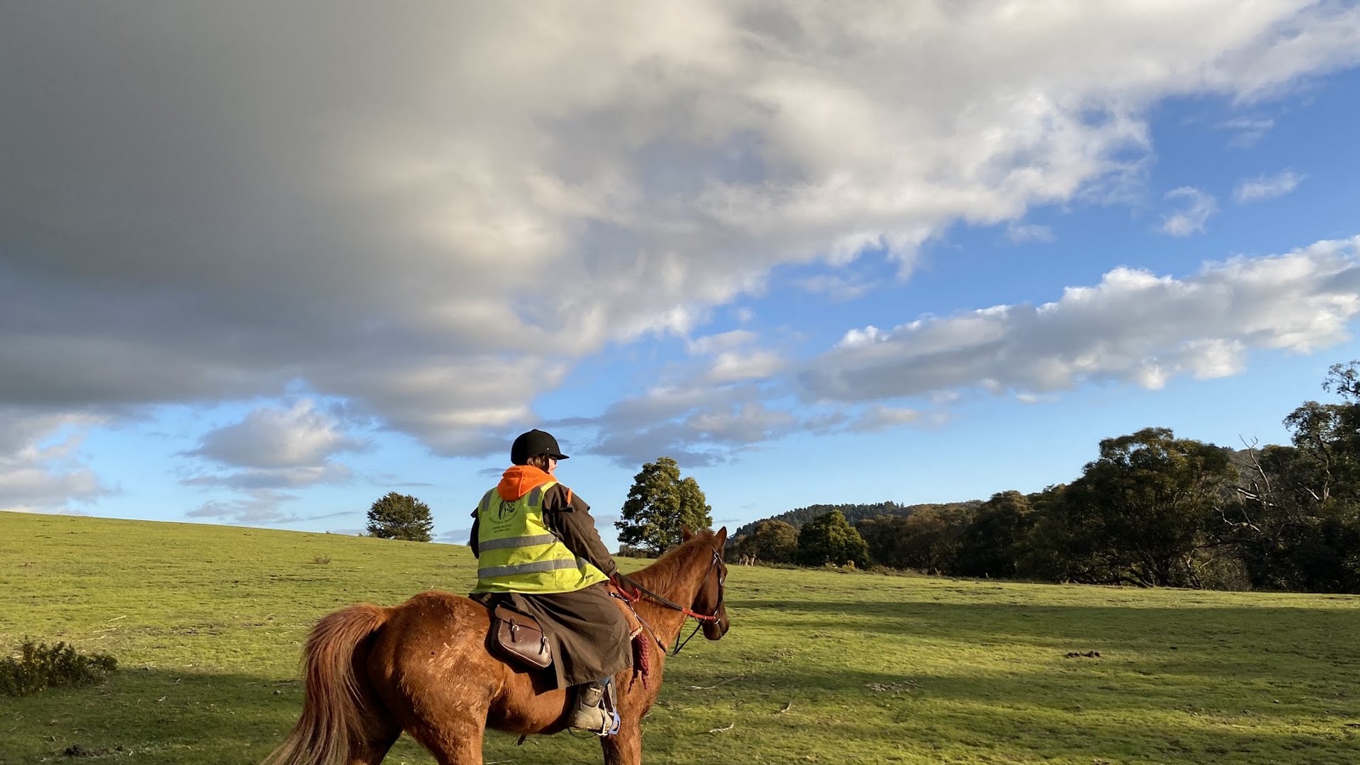 Uncle Nev's Trail Rides