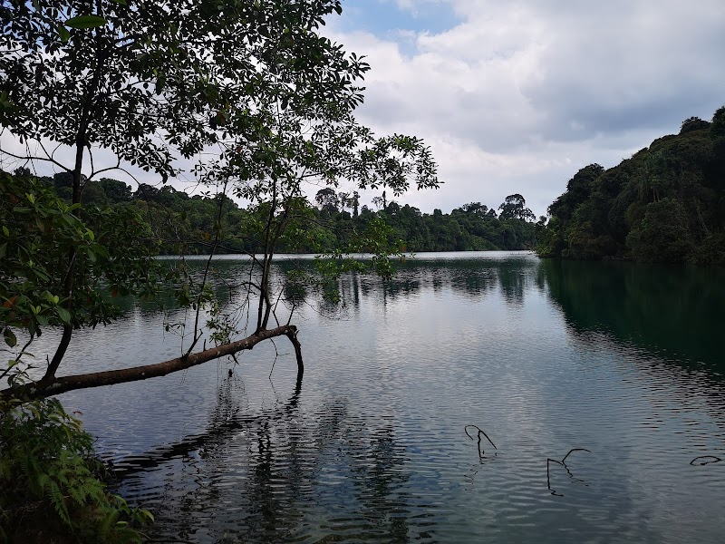 Upper Peirce Reservoir Park photo 2