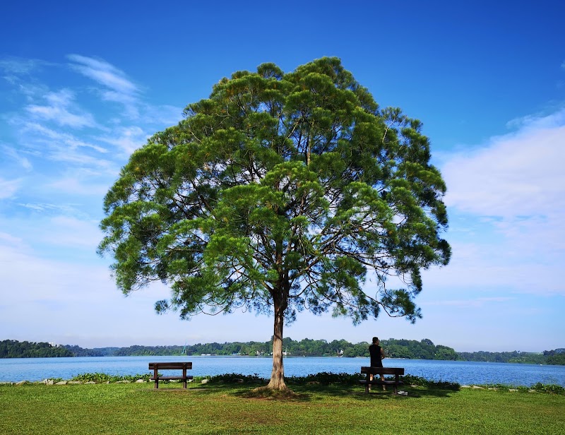 Upper Seletar Reservoir Park photo 2