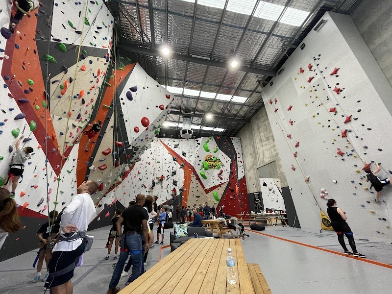 Urban Jungle Indoor Rock Climbing