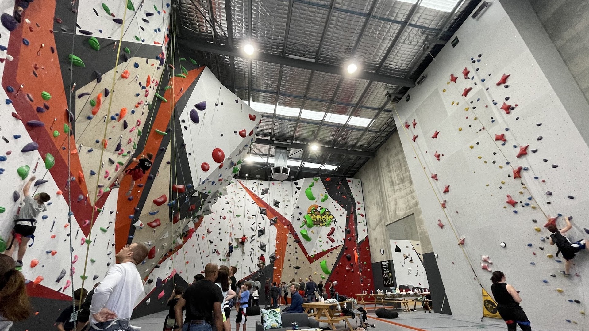 Urban Jungle Indoor Rock Climbing photo 2