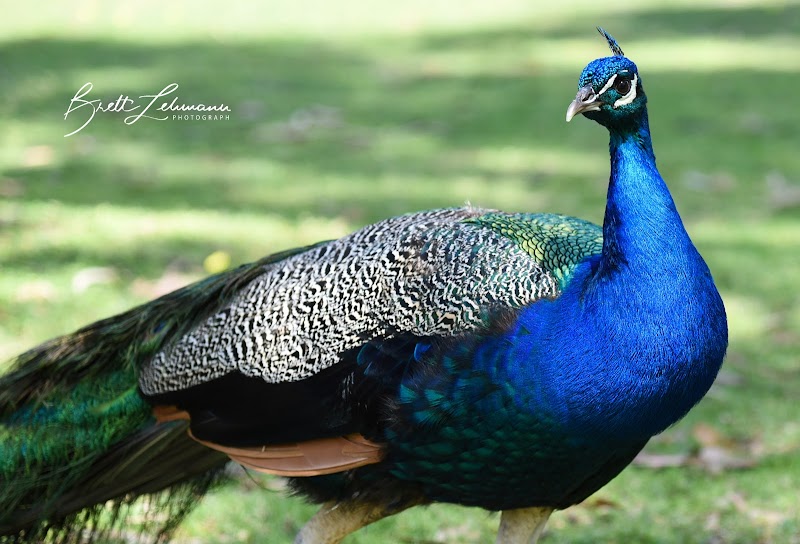 Urimbirra Wildlife Park photo 4