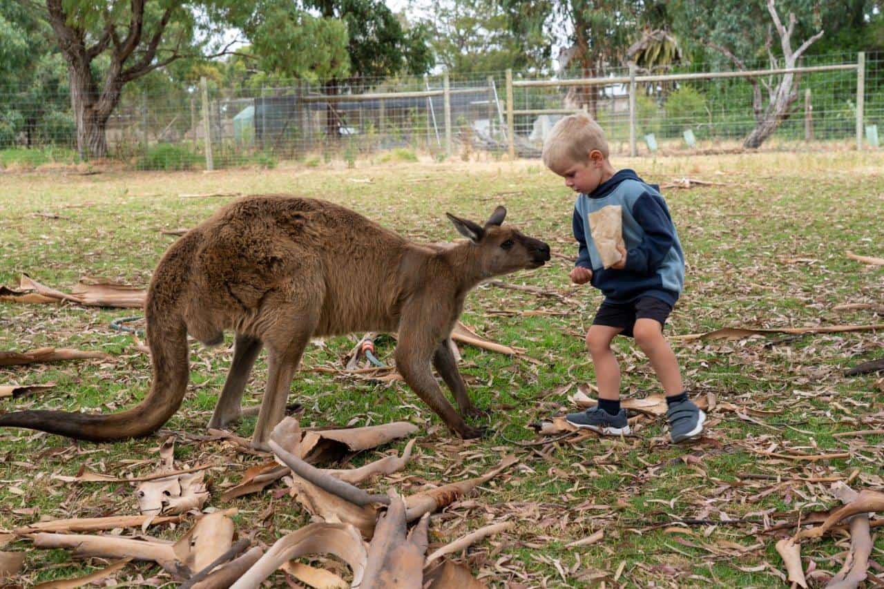 Urimbirra Wildlife Park photo 3