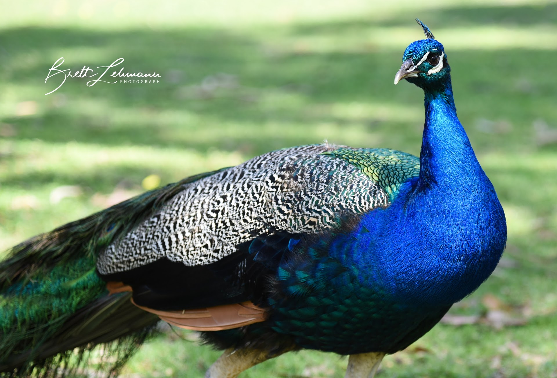 Urimbirra Wildlife Park