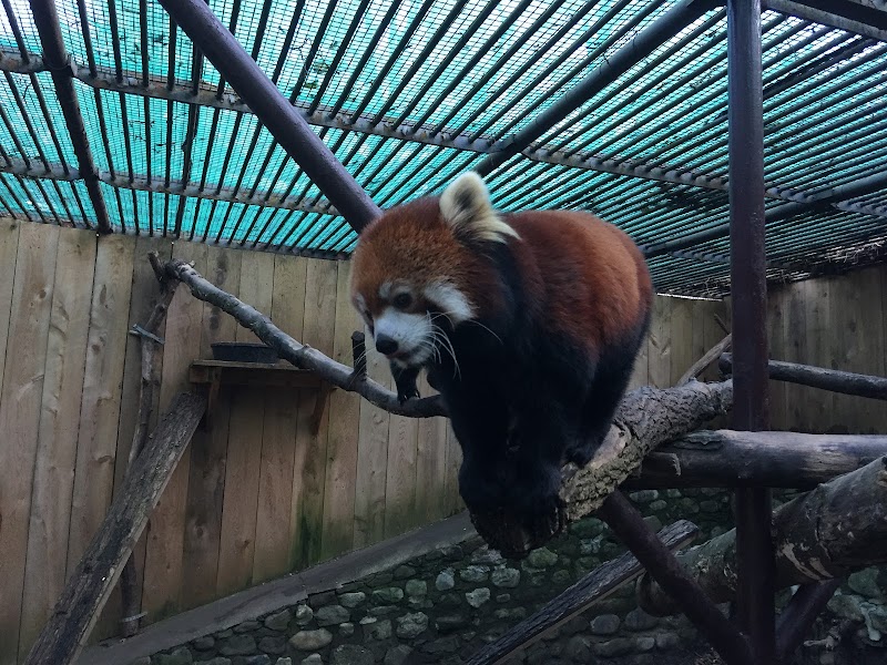 Utica Zoo photo 3