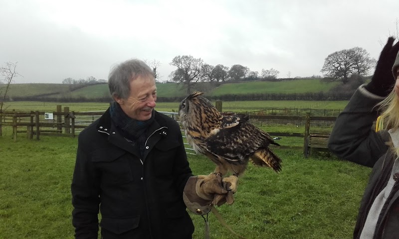 Vale Royal Falconry Centre photo 2