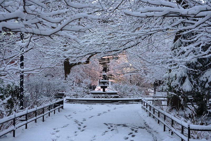 Van Vorst Park photo 2