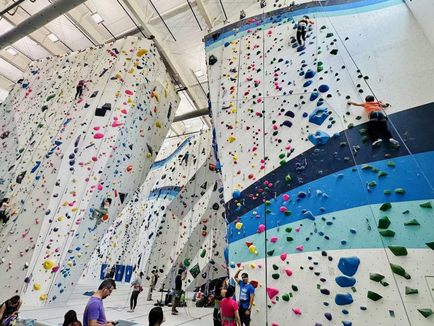 Photo of Velocity Climbing in Florida