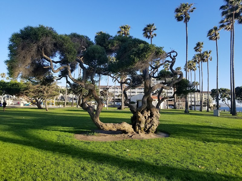 Veterans Park photo 3