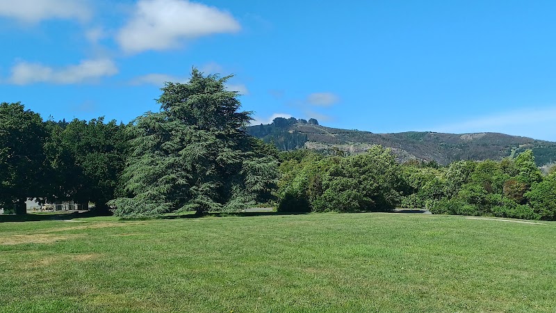 Victoria Park Playground photo 2