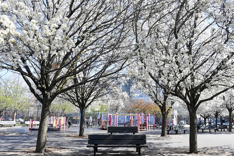 Vincent V. Abate Playground photo 3