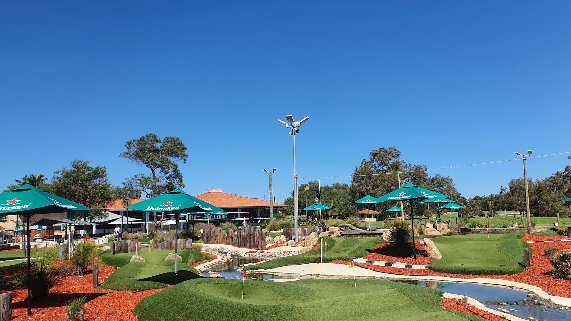 Vines Mini Golf