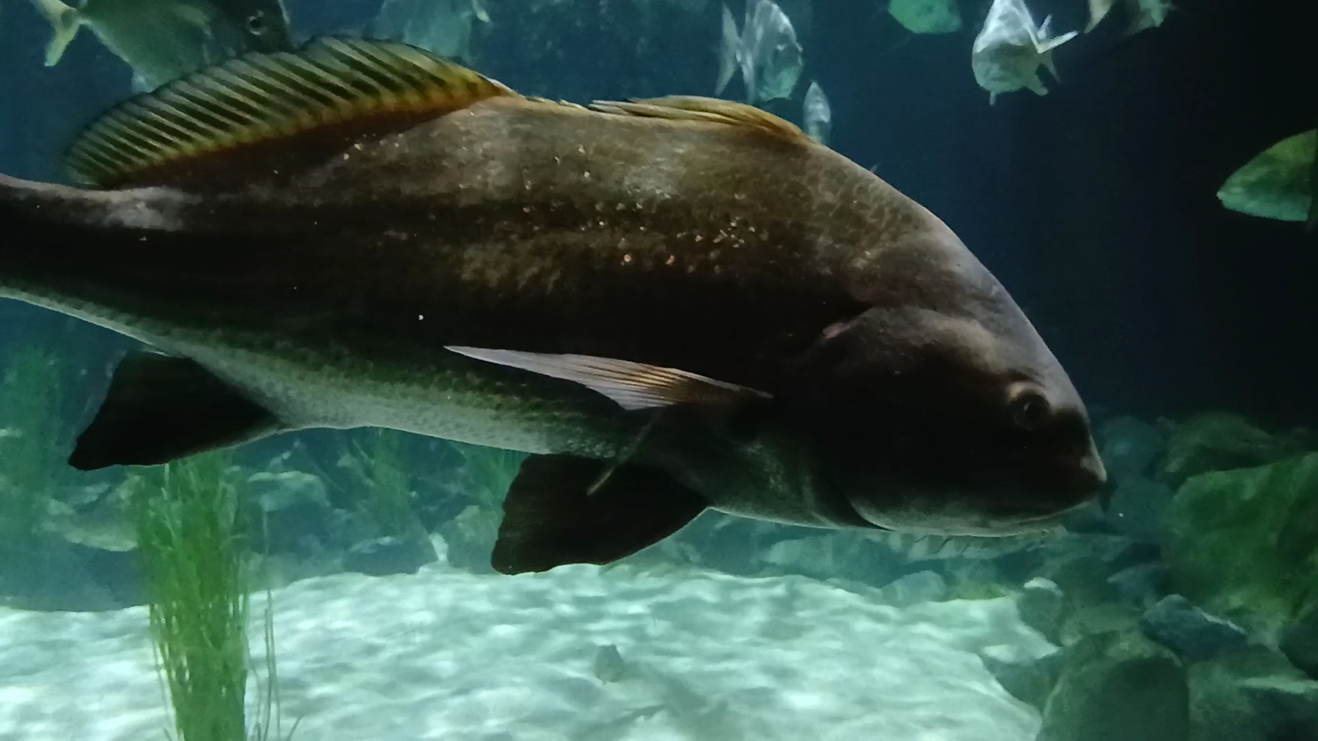 Virginia Aquarium & Marine Science Center photo 2