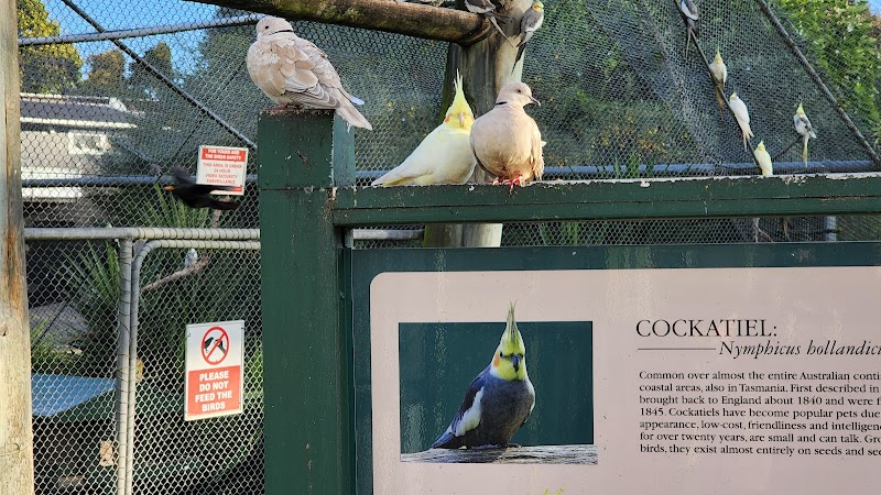 Virginia Lake Aviary photo 2